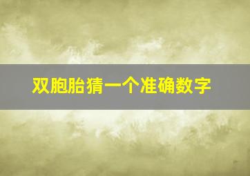 双胞胎猜一个准确数字