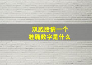 双胞胎猜一个准确数字是什么