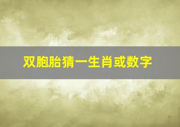 双胞胎猜一生肖或数字