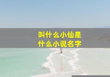 叫什么小仙是什么小说名字