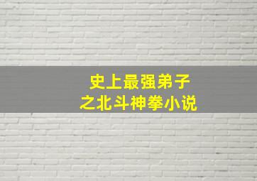 史上最强弟子之北斗神拳小说