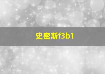 史密斯f3b1