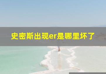 史密斯出现er是哪里坏了