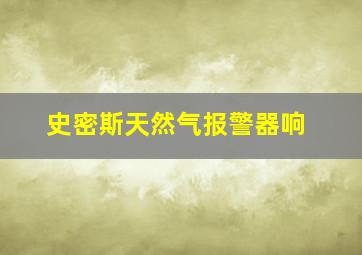 史密斯天然气报警器响