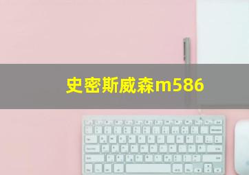 史密斯威森m586