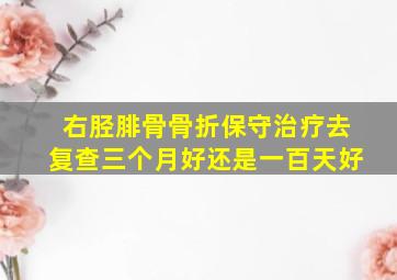 右胫腓骨骨折保守治疗去复查三个月好还是一百天好