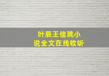 叶辰王佳珧小说全文在线收听