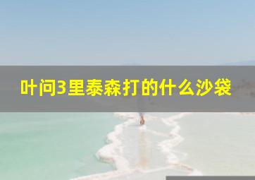 叶问3里泰森打的什么沙袋