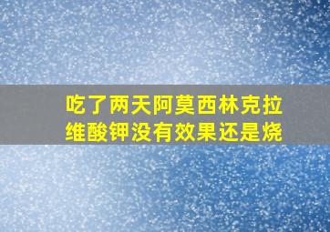 吃了两天阿莫西林克拉维酸钾没有效果还是烧