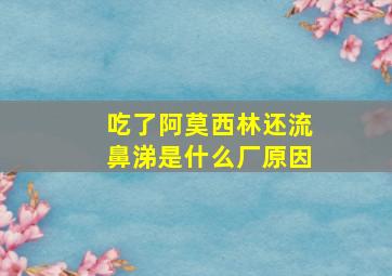 吃了阿莫西林还流鼻涕是什么厂原因