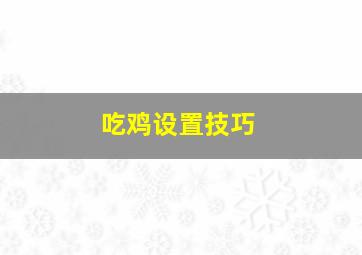 吃鸡设置技巧