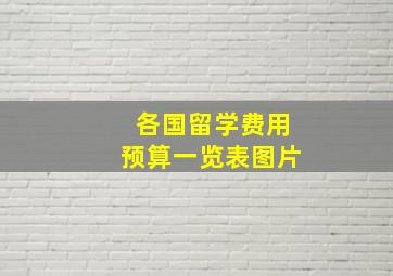 各国留学费用预算一览表图片