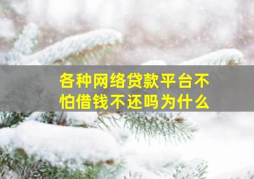 各种网络贷款平台不怕借钱不还吗为什么