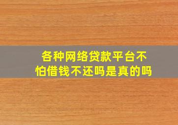 各种网络贷款平台不怕借钱不还吗是真的吗