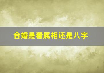 合婚是看属相还是八字