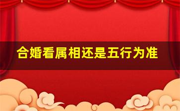 合婚看属相还是五行为准