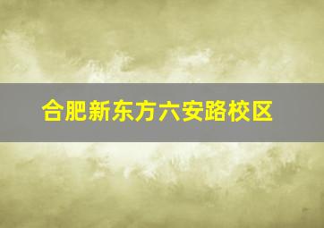 合肥新东方六安路校区