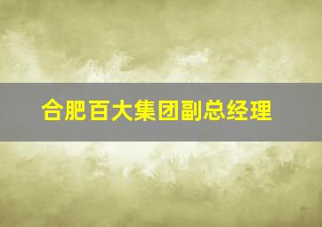 合肥百大集团副总经理