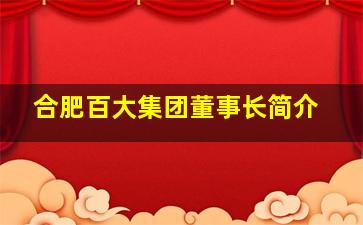 合肥百大集团董事长简介