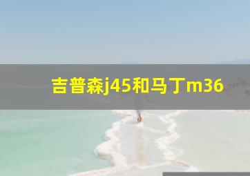 吉普森j45和马丁m36