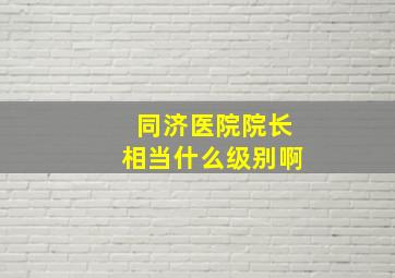 同济医院院长相当什么级别啊