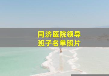 同济医院领导班子名单照片