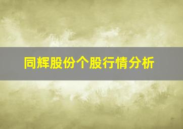 同辉股份个股行情分析