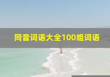 同音词语大全100组词语