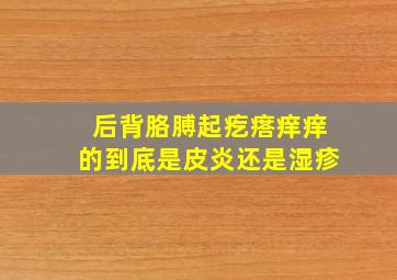 后背胳膊起疙瘩痒痒的到底是皮炎还是湿疹