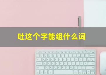 吐这个字能组什么词