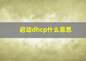 启动dhcp什么意思