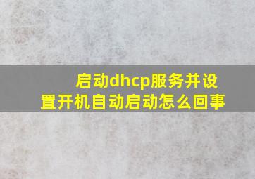 启动dhcp服务并设置开机自动启动怎么回事