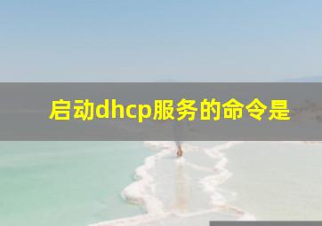 启动dhcp服务的命令是