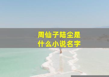 周仙子陆尘是什么小说名字