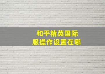 和平精英国际服操作设置在哪