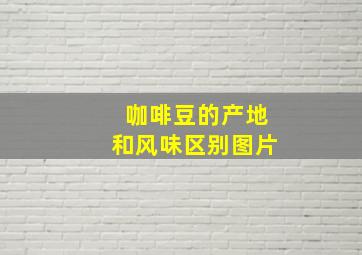 咖啡豆的产地和风味区别图片