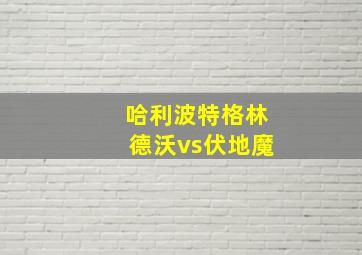 哈利波特格林德沃vs伏地魔