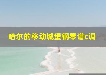 哈尔的移动城堡钢琴谱c调