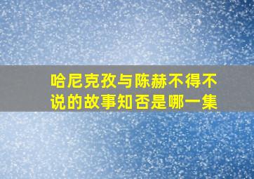 哈尼克孜与陈赫不得不说的故事知否是哪一集