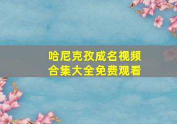 哈尼克孜成名视频合集大全免费观看