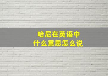 哈尼在英语中什么意思怎么说