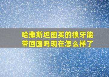 哈撒斯坦国买的狼牙能带回国吗现在怎么样了