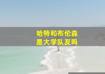 哈特和布伦森是大学队友吗