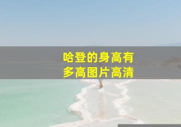 哈登的身高有多高图片高清