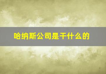 哈纳斯公司是干什么的