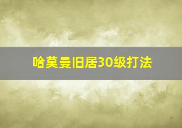 哈莫曼旧居30级打法