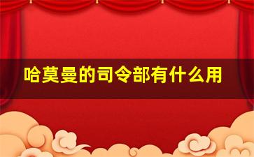 哈莫曼的司令部有什么用