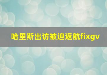 哈里斯出访被迫返航fixgv