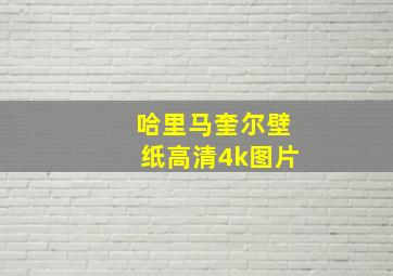 哈里马奎尔壁纸高清4k图片