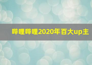 哔哩哔哩2020年百大up主